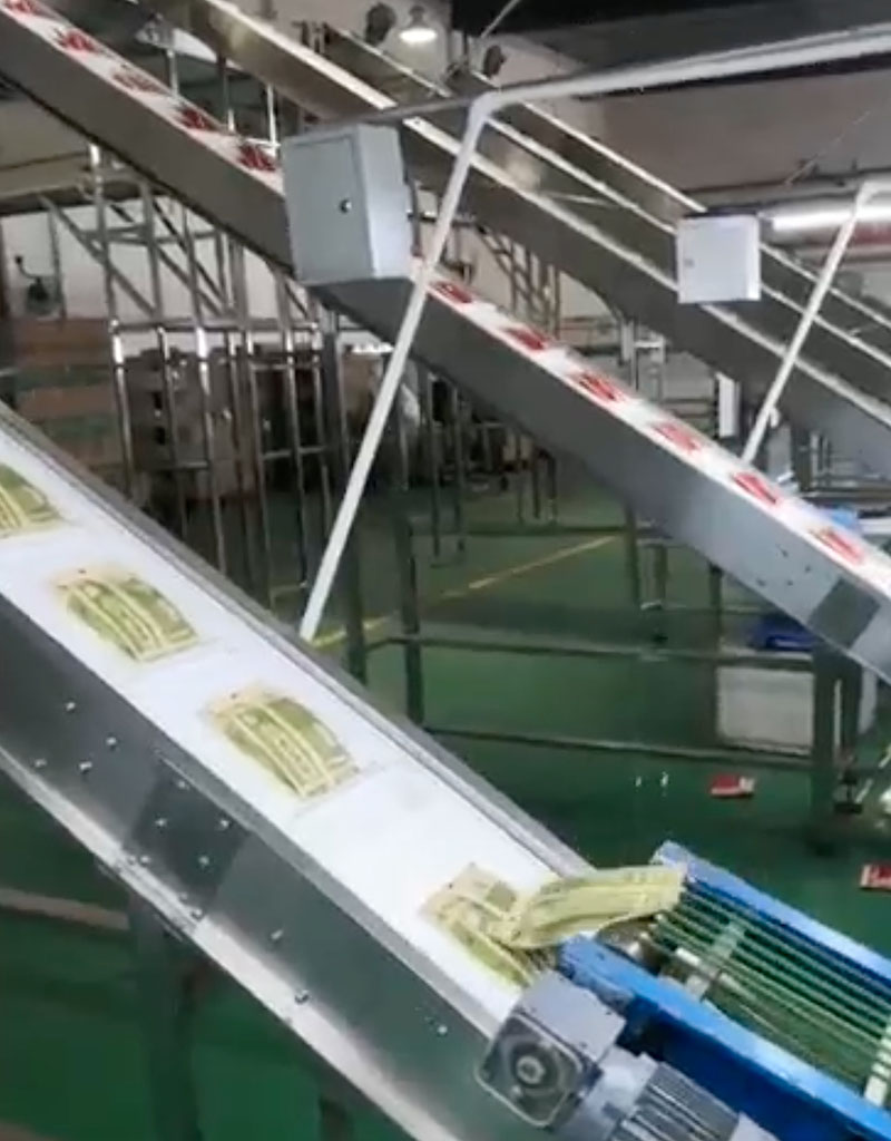 洽洽食品 車(chē)間整體網(wǎng)帶輸送線